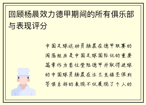 回顾杨晨效力德甲期间的所有俱乐部与表现评分
