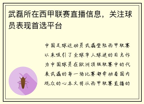 武磊所在西甲联赛直播信息，关注球员表现首选平台